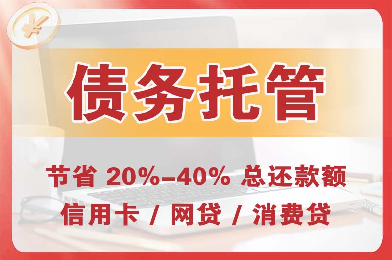 陇川债务托管